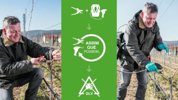 Sistema Tessior para o tratamento das DLV